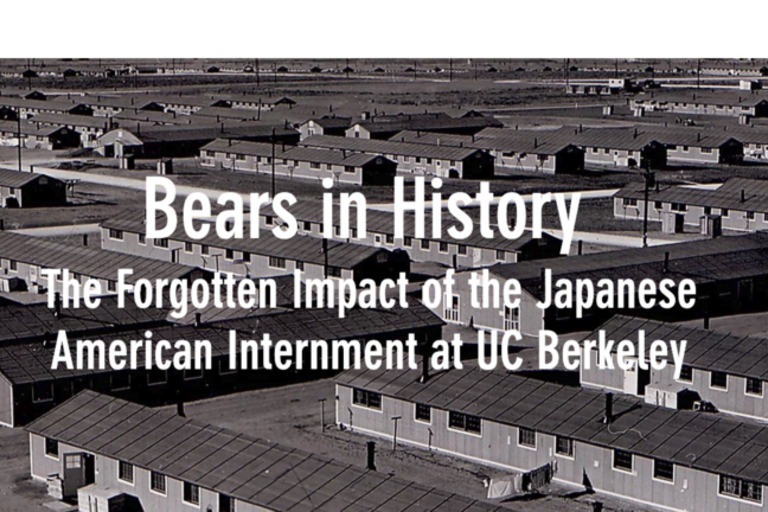 screenshot of bears in history landing page