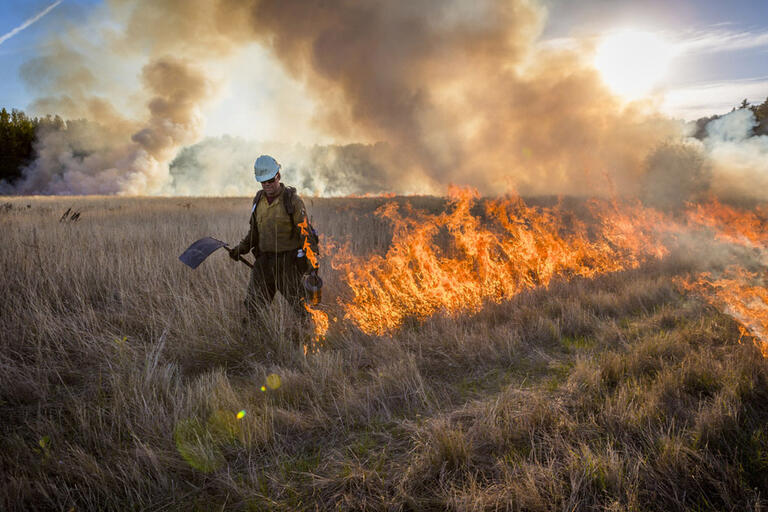 firefighter lights fire on open field during a controlled burn to manage and conserve area