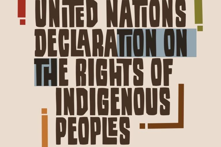 Text that says "UN Declaration on the Rights of Indigenous Peoples"